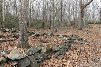 woods and stone walls