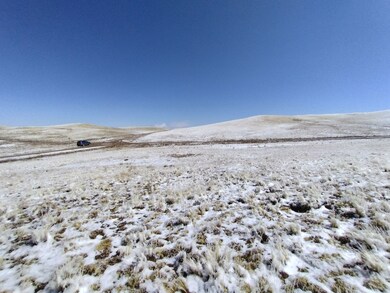 916 Chicha Rd, Hartsel, CO 80449 - photo 4