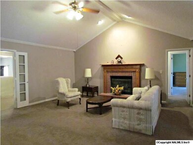 Vaulted Ceiling in Great Room