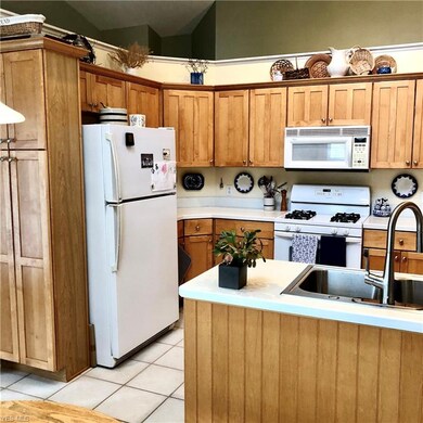 110 Chesterton Ln unit 18, Aurora, OH 44202 - photo 4