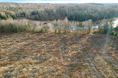 10 Acres Cth N, Crandon, WI 54511 - photo 4