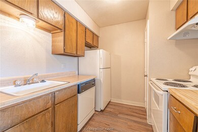 Cripple Creek Condos unit 9, College Station, TX 77840 - photo 6