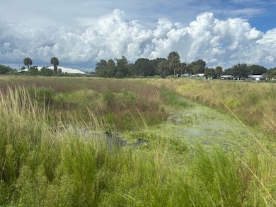 1202 NW 8th Ave, Okeechobee, FL 34972 - photo 3