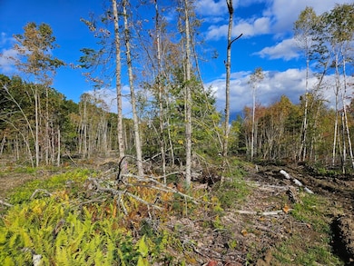 Lot 5