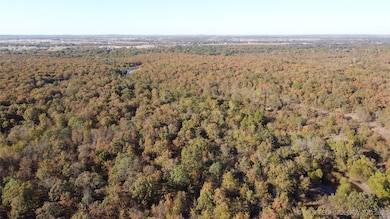 11447 Mary Knox Dr, Okmulgee, OK 74447 - photo 5