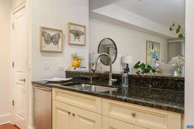 210 10th St NE unit 101, Charlottesville, VA 22902 - photo 4