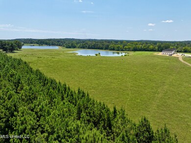 dji_fly_20240812_171646_0001_17234952663