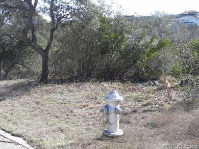 8818 Terra Cliffs, San Antonio, TX 78255 - photo 3