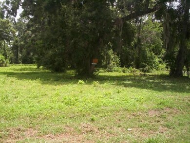 Photo taken a few years back when lot was cleared.