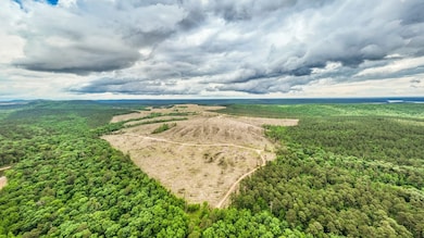 0 C R 658, Kirby, AR 71950 - photo 7