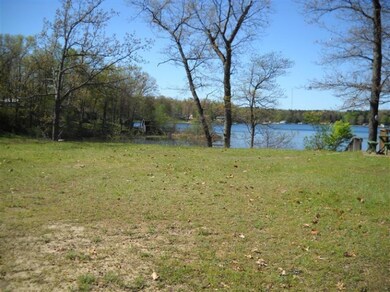 288 Pine St, Bitely, MI 49309 - photo 5