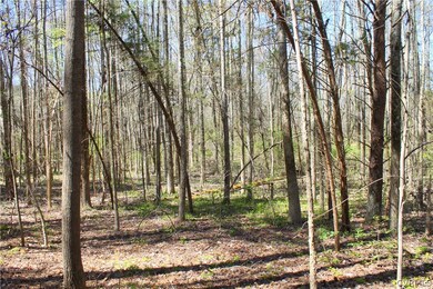 Mixed Hardwood trees on a gently rolling lot.