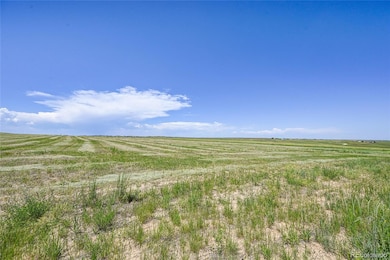 Lot 5, partially cut