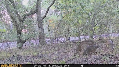 0 Jamestown Rd unit 25323571, Waycross, GA 31503 - photo 3