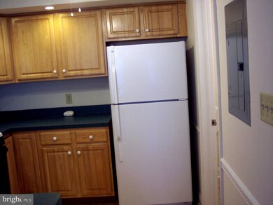 300 E Elm St unit 2, Conshohocken, PA 19428 - photo 3