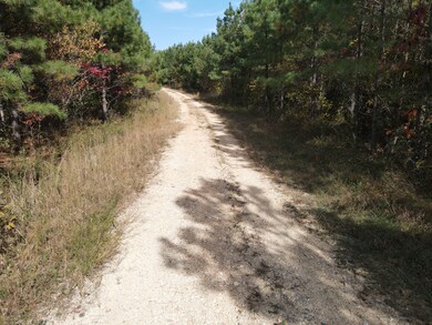 0 Old Highway 18 unit RTC2593446, Stewart, TN 37175 - photo 4