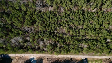 DJI_0202