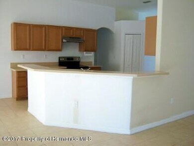 Kitchen view 1