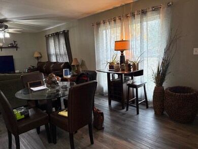 125 Cleveland Cir, Granville, IL 61326 - photo 4