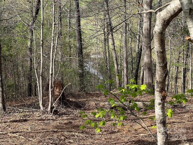 0 Moss Dr unit 39 CAR3724319, Union, NC 28139 - photo 4