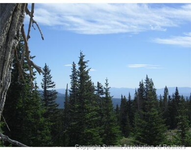 0 Tbd unit S373701, Fairplay, CO 80440 - photo 7