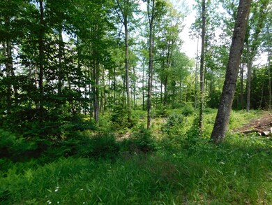 Lot#1 Fernald Hills Way Rd, Stow, ME 04037 - photo 6