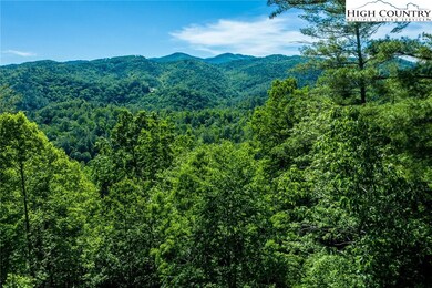 724 Wagon Ridge Ln, Ferguson, NC 28624 - photo 5