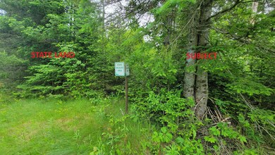 ON Cth A unit 4.62 Acres, Deerbrook, WI 54424 - photo 3