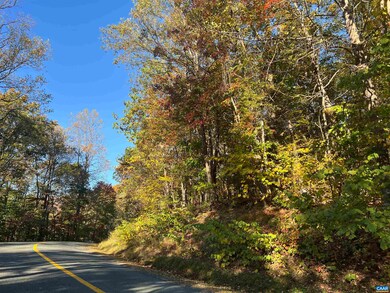 1717 Black Walnut Dr, Nellysford, VA 22958 - photo 3