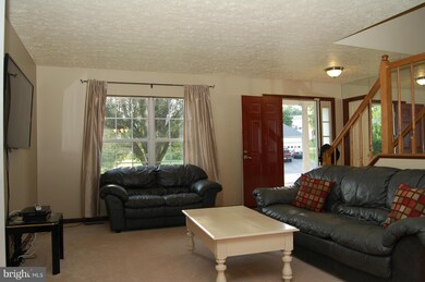 11801 Clarence Dr, Fredericksburg, VA 22407 - photo 6