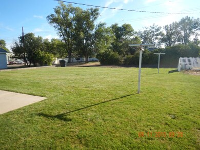back yard