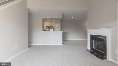 11338 Westbrook Mill Ln unit 303, Fairfax, VA 22030 - photo 6