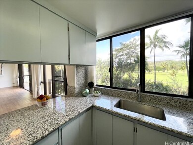 Lots of counter space, looking out to golf course