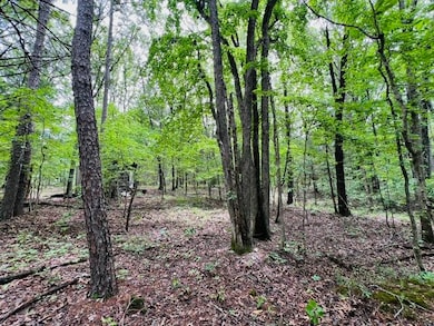 000 Boiling Springs Rd, Licking, MO 65542 - photo 5