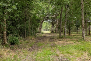 000 Ives Creek Rd, Bellville, TX 77418 - photo 4