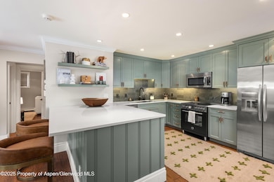 835 E Hyman Ave unit D, Aspen, CO 81611 - photo 4