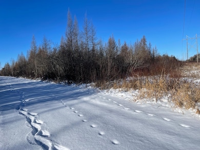 508 Cedar Valley Rd, Cedar Valley Township, MN 55736 - photo 5