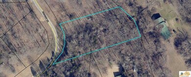 Lots 16R & 17R Runaway Dr, Fountain Run, KY 42133 - photo 7