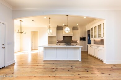 101 Springs Crossing, Madison, MS 39110 - photo 7