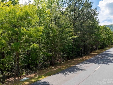 LOT 2009 Deep Gap Farm Rd E, Mill Spring, NC 28756 - photo 2