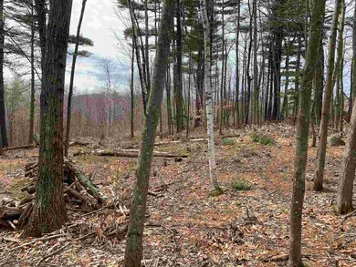 0 High Ridge Rd unit 4746979, Dublin, NH 03444 - photo 3