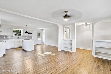 3310 Oneal St, Knoxville, TN 37921 - photo 5