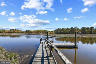 34047 Shawnee Dr, Dagsboro, DE 19939 - photo 2