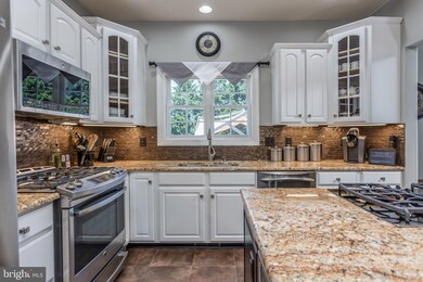 1643 Macedonia Church Rd, Stephens City, VA 22655 - photo 3