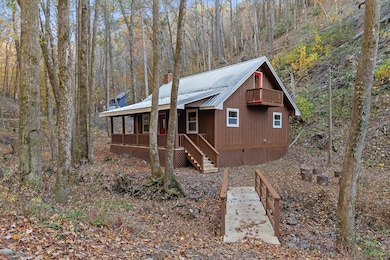 180 Cohutta Forest Rd, Ellijay, GA 30540 - photo 4