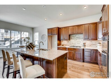 22828 E Bailey Cir, Parker, CO 80138 - photo 6