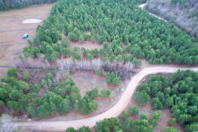 Lot 2 - TBD New Pine Rd, Johnsonville, SC 29555 - photo 2