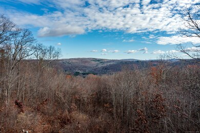 0 Swaller Hill Rd unit 24141946, Sharon, CT 06796 - photo 3