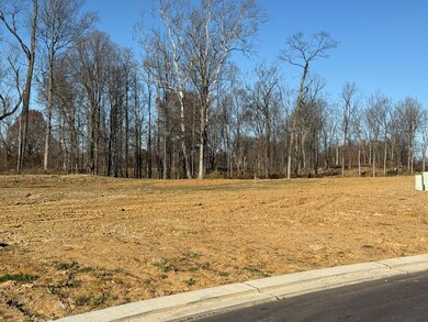 6681 Tullamore Ln unit Lot 3, Independence, KY 41051 - photo 5