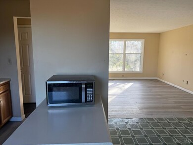 250 West St, Lebanon, OH 45036 - photo 5